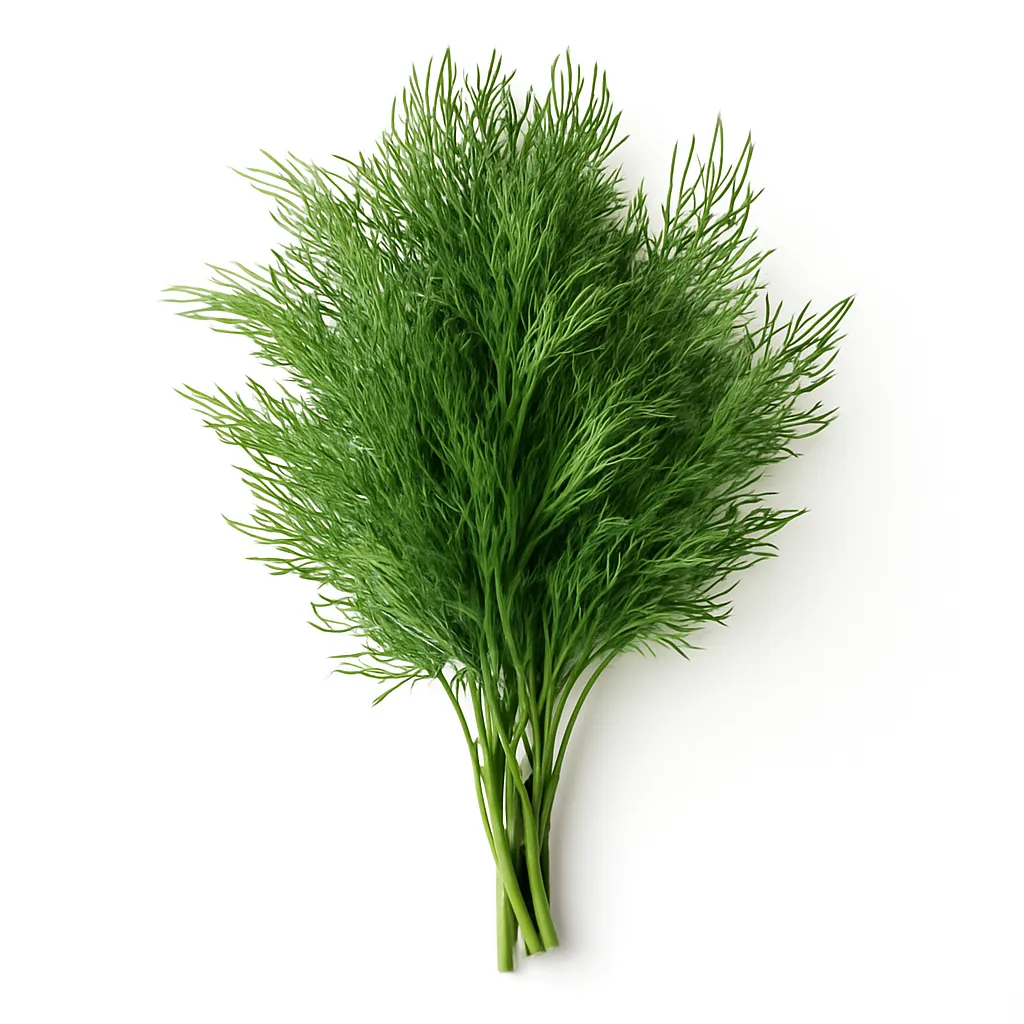 Dill