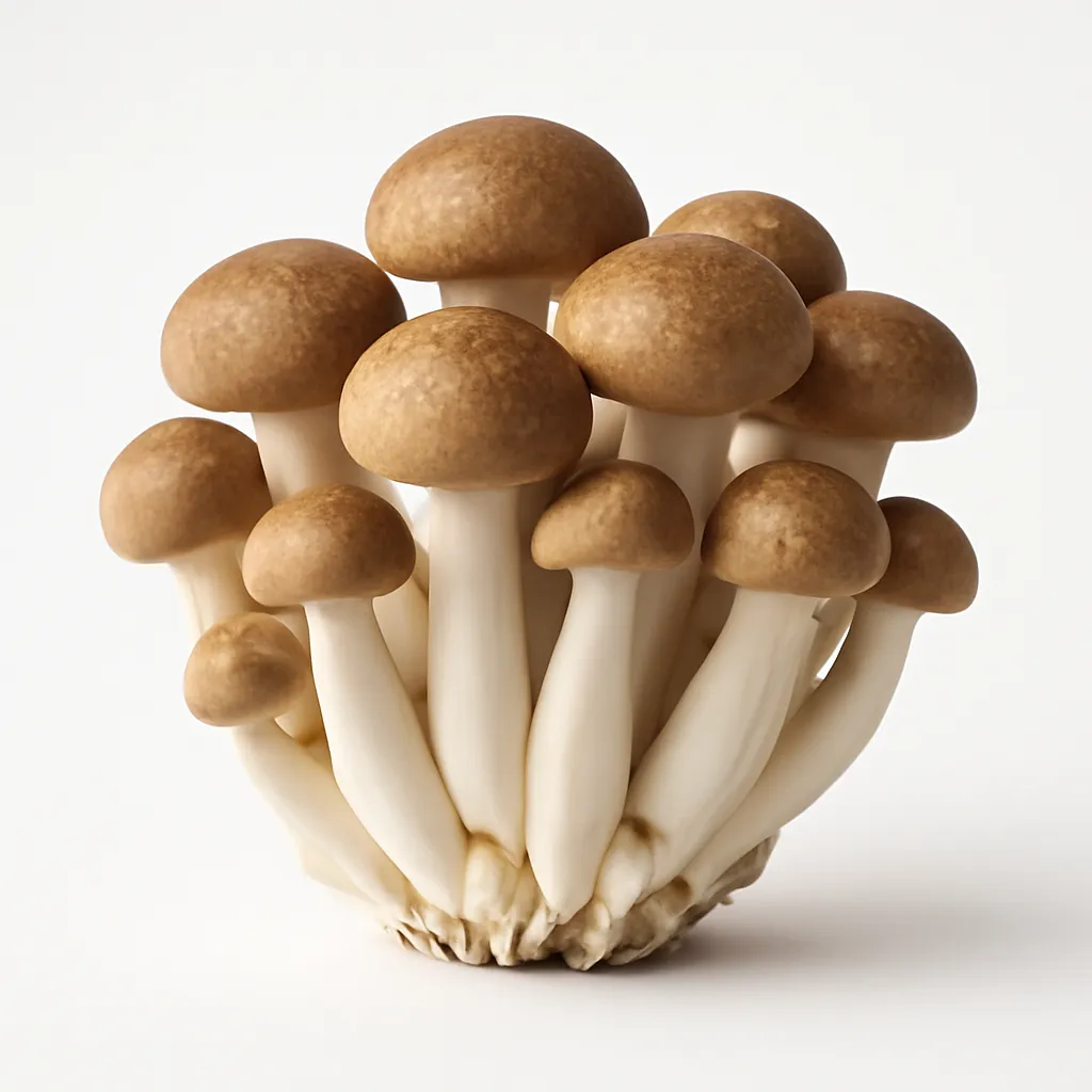 Brown shimeji mushrooms