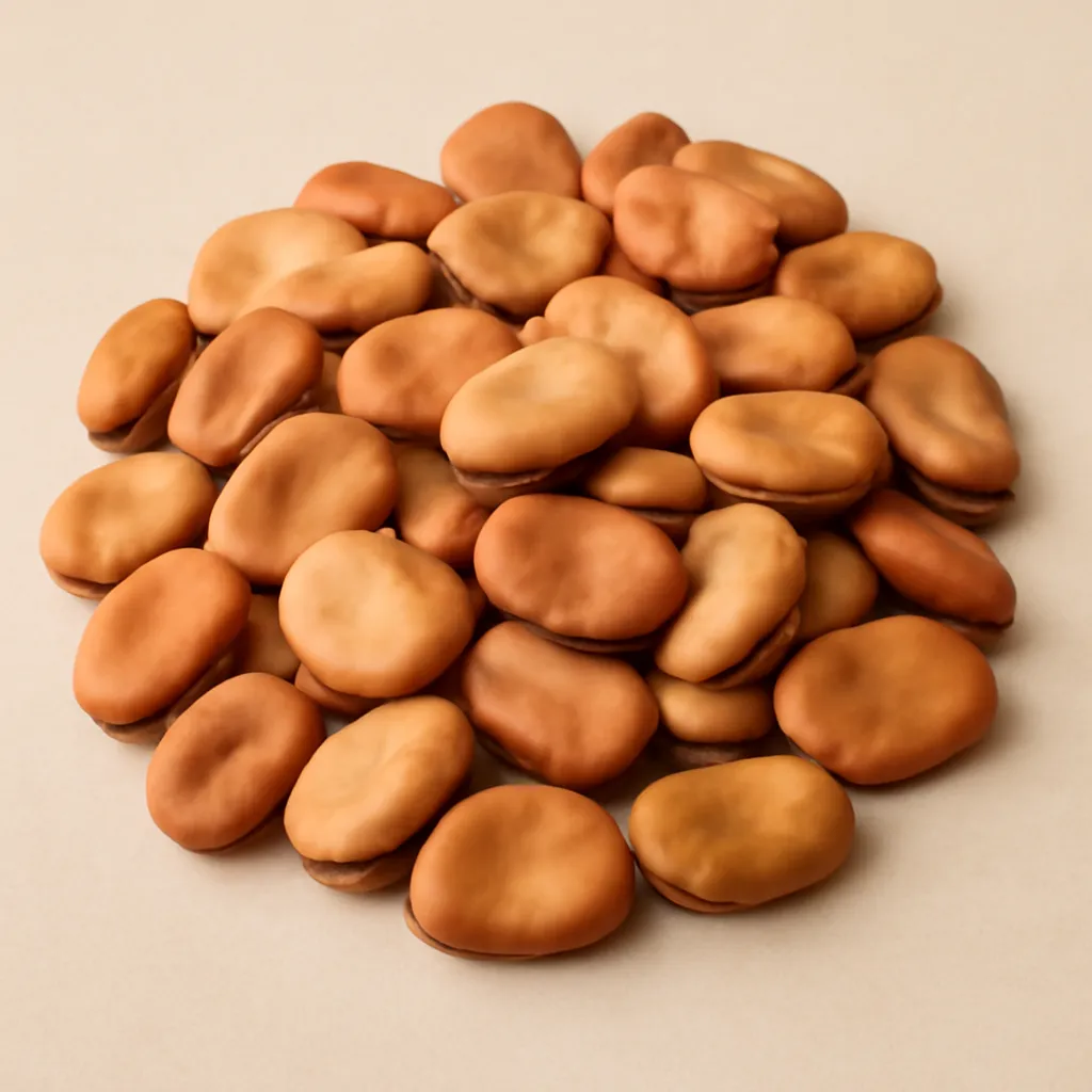 Dried broad beans - photo 1