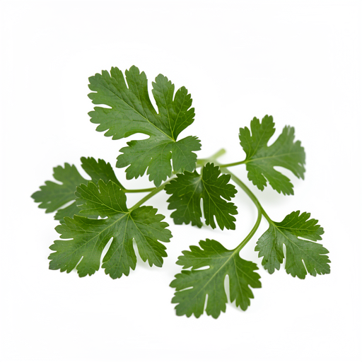 Świeża kolendra (do dekoracji, opcjonalnie)