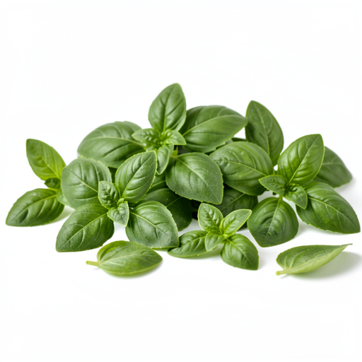 Basil leaves