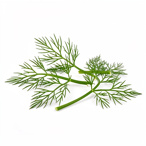 Koperek świeży (do dekoracji) - opcjonalne