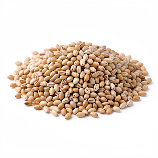 Barley groats (dry)
