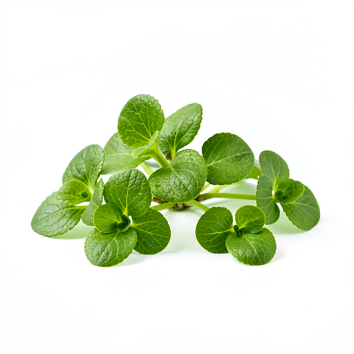 Watercress