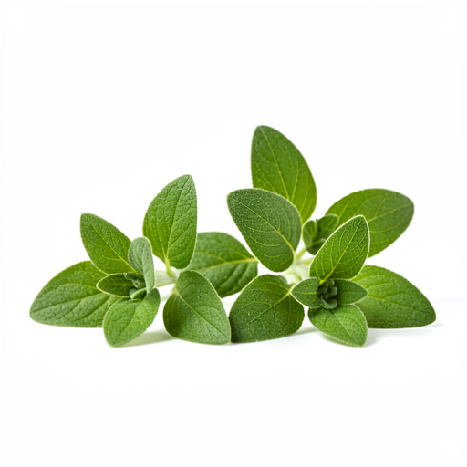 Fresh oregano (optional)