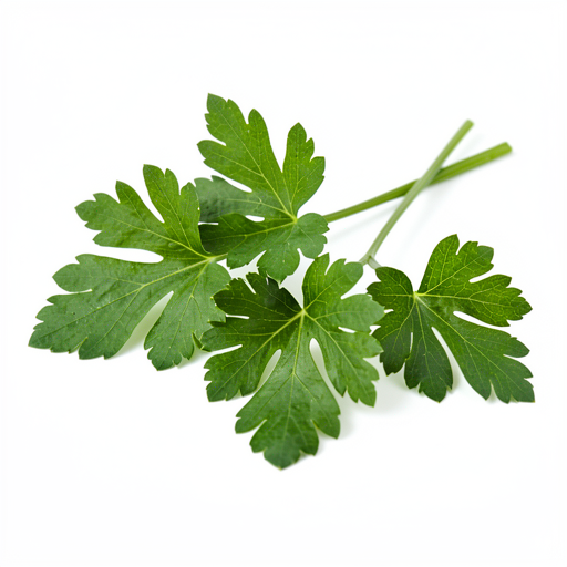 Świeża pietruszka (opcjonalnie, do dekoracji)
