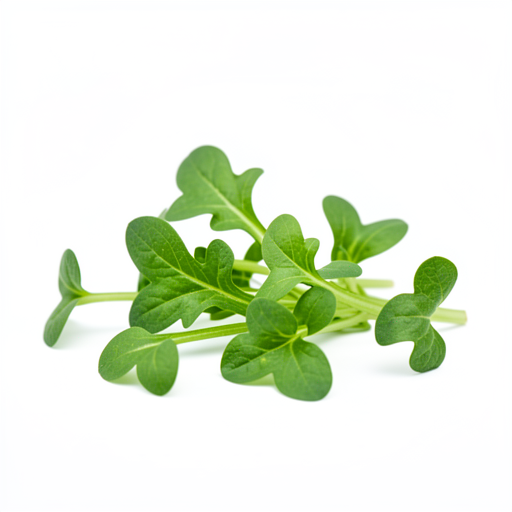 Mikrozielenina (rukola/microgreens)