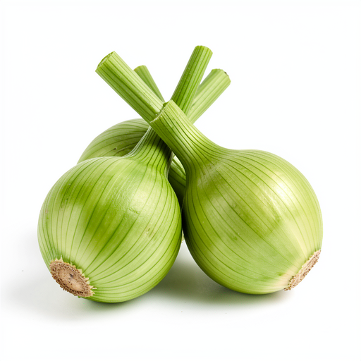 Shallot / green onion