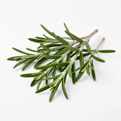 Fresh rosemary sprigs