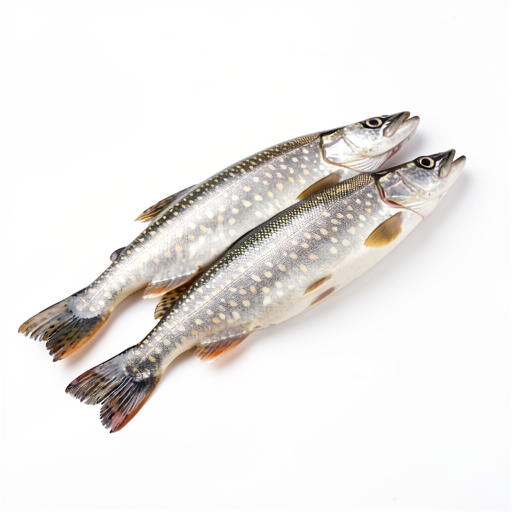 Pikeperch fillet