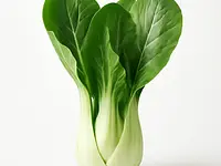 Bok choy (kapusta pak choi)