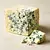 Blue mold cheese (gorgonzola)