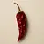 Dried chili pepper