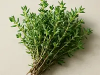Thyme