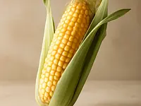 Corn