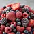 Frozen berry fruits