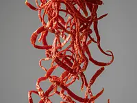 Dried chili threads (garnish)