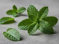 Fresh mint (for decoration, optional)