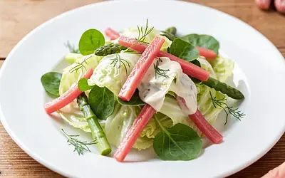 Sorrel and young cabbage with pickled rhubarb and dill