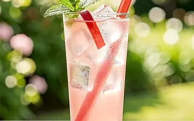 Rhubarb shrub with lemon balm