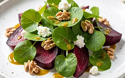 Young sorrel leaves with roasted beetroot and goat cheese