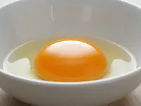 Żółtko