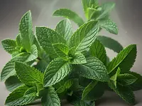Świeża mięta (opcjonalnie)