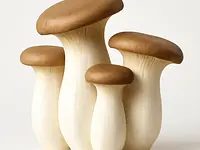 King oyster mushrooms