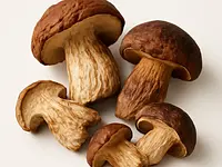 Dried porcini mushroom
