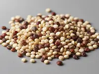 Quinoa