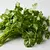 Cilantro (fresh)