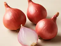 Szalotka