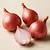 Shallot