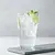 Tonik (tonic water)