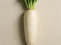 Rzodkiewka biała (daikon)