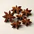 Star anise