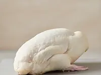 Duck (whole, carcass)
