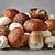 Mix of fresh mushrooms (porcini/shiitake/button)