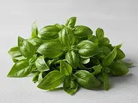 Fresh basil leaves