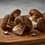 Dried porcini mushrooms