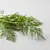 Fresh dill