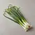 Green onion