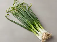 Green onion