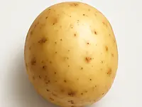 Potato