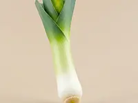Leek (white part)