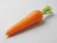 Carrot root