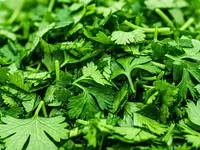 Natka pietruszki (opcjonalnie)