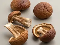 Dried porcini mushrooms (dried forest mushrooms)