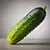 Field cucumber
