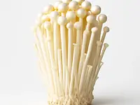 Enoki